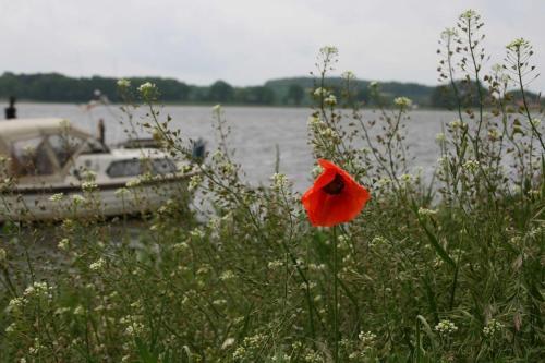 Apartamento Ferienwohnung 07 Am Selliner See