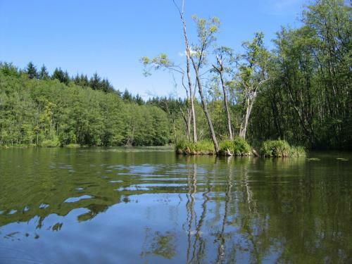 Ferienhaus Priepert