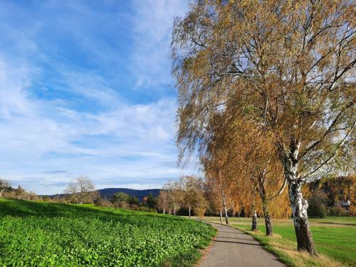 Apartamento Ferienwohnung Odenwaldflair