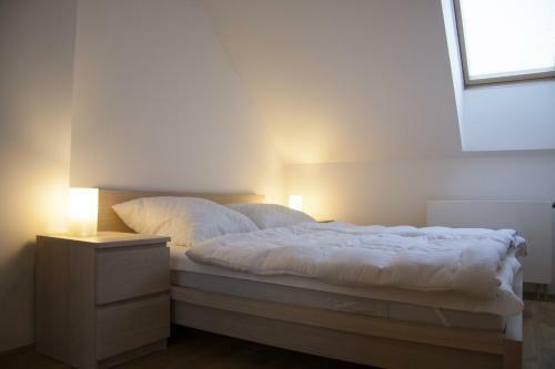 Apartm�n U Sjezdovky Javor