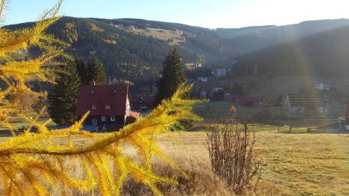 Hostal Pension Svoboda