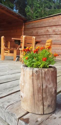 Hostal Pension Svoboda