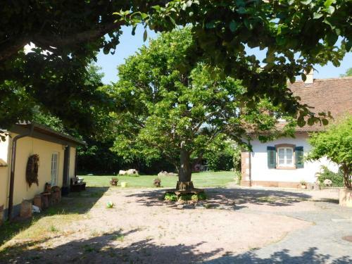 Ferienhaus Auf_m Land
