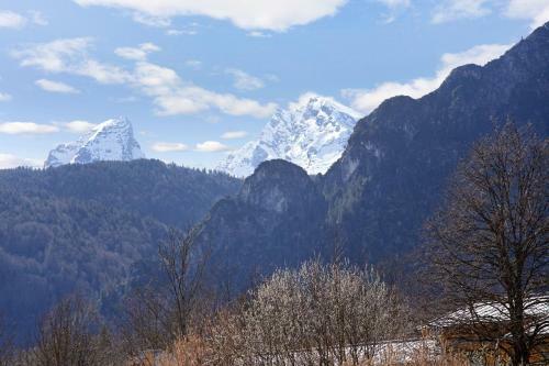 Apartamento Ferienwohnung Edelwei�