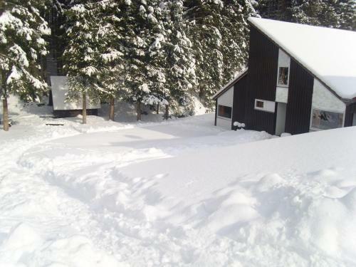 Hotel Holiday Park- Biberbau