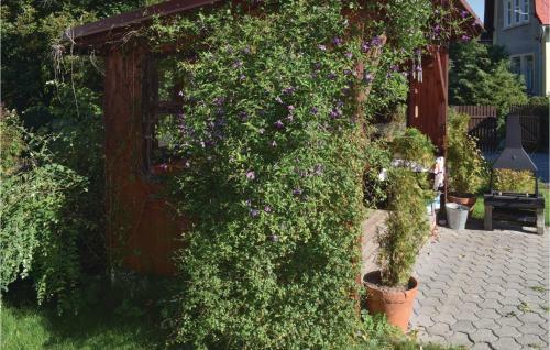 Apartment Mala Skala II