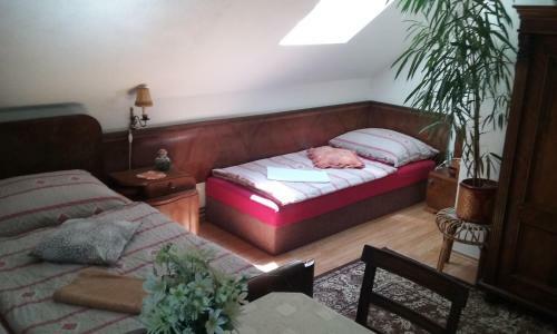 Hostal Penzion Hugo