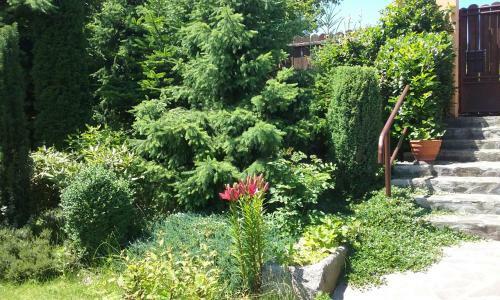 Hostal Penzion Hugo