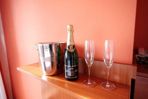 Active Wellness Hotel U Zlat� Rybky