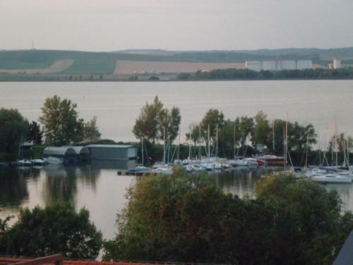 Apartamento P�lavsk� Vinohrady