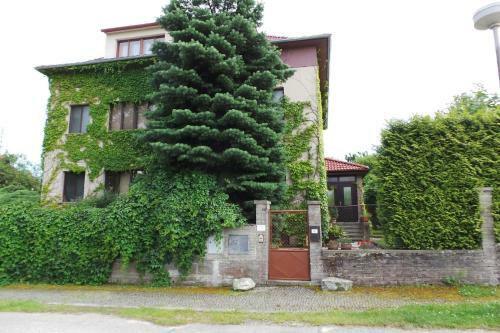 Hostal Penzion Sport