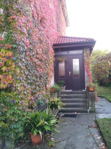 Hostal Penzion Sport