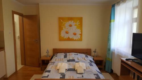 Hostal Jihoceska Pohoda