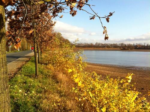 Apartm�n Sportovn�
