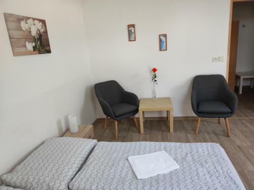 Hostal Penzion U Hradeb