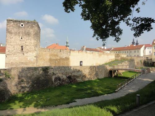 Hostal Penzion U Hradeb