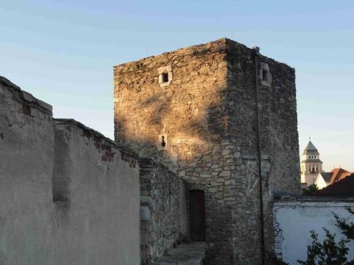 Hostal Penzion U Hradeb