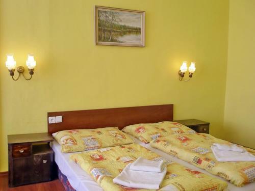 Hotel Morava