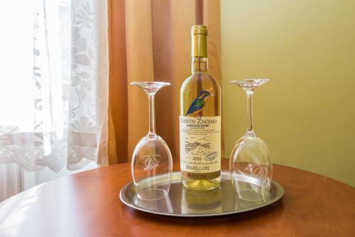 Hotel Morava