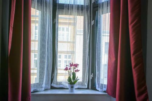 Hostal Penzion U Salzmannu