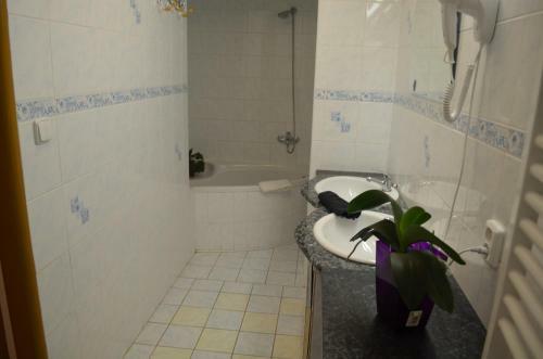 Hotel Famozclub