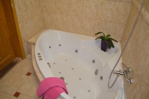 Hotel Famozclub