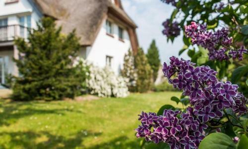 Landhaus Am Wiecker Bodden