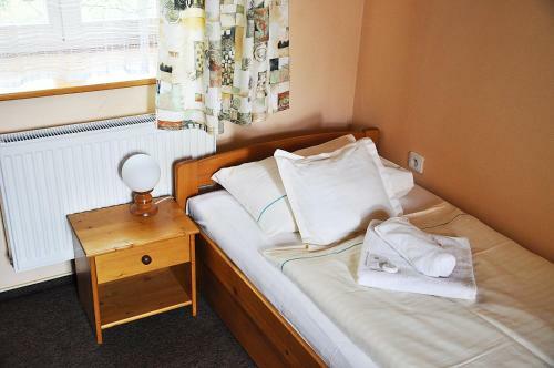 Hostal Penzion Diana