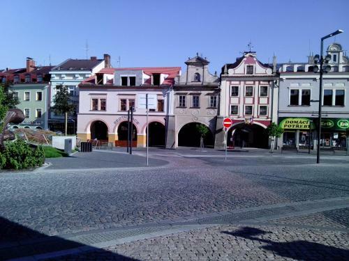 Hotel Zlat� Kohout