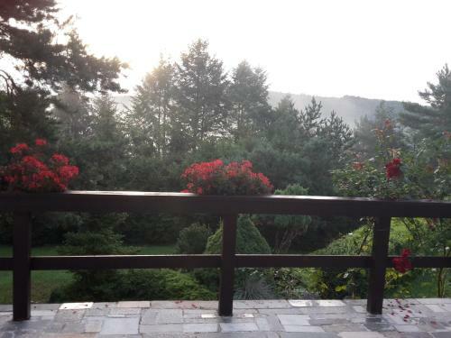 Hostal Villa Blanka