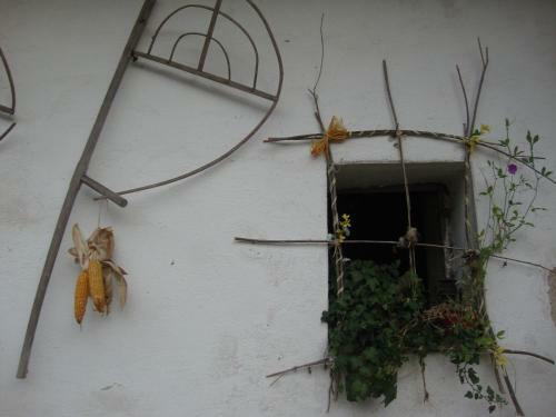 Hostal Petrovick� Ml�n