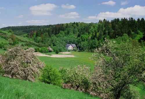 Hostal Petrovick� Ml�n