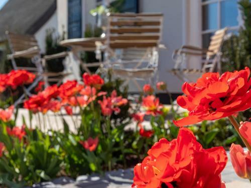 Apartamento Traumhaus Unter Reet Zingst Deluxe