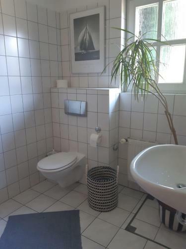 Kranichrast