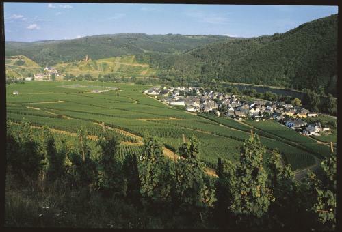Apartamento Ferienweingut Pies Ellenz-poltersdorf