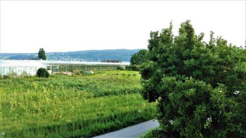 Apartamento Bodensee Holiday Home Insel Reichenau Seensucht