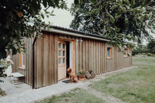 Lytte Hytte - Ferienhaus Wingst