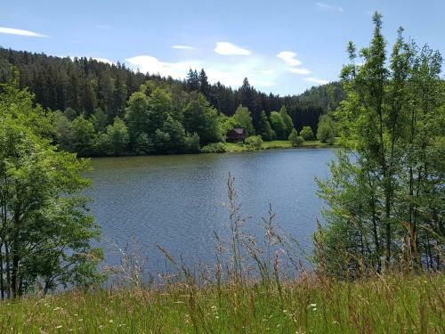 Apartamento Ferienwohnung Hammergrund
