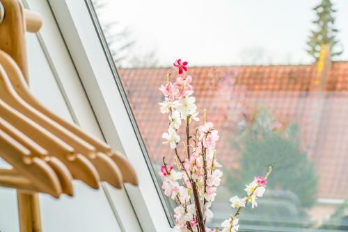 Hostal �r� Guesthouse & Cafe