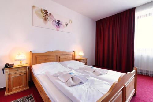 Hotel Stara Skola