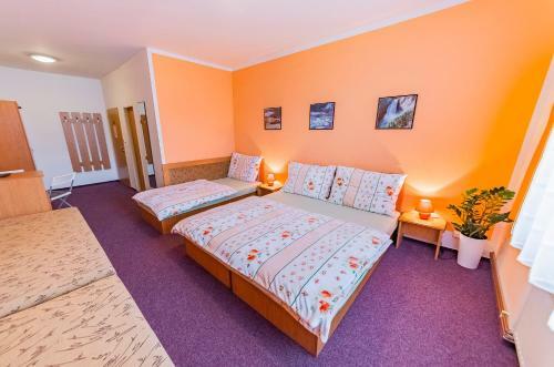 Hostal Penzion U Jezku