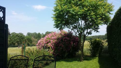 Apartamento Penzion Na Lednick�