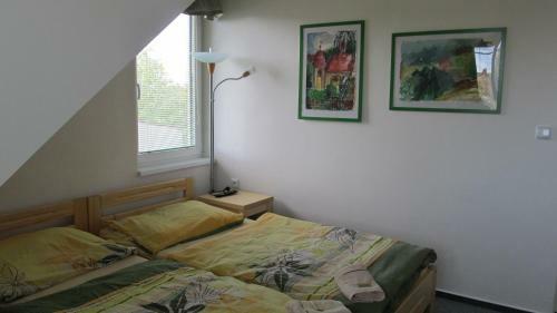 Hostal Ubytov�n� U Macochy