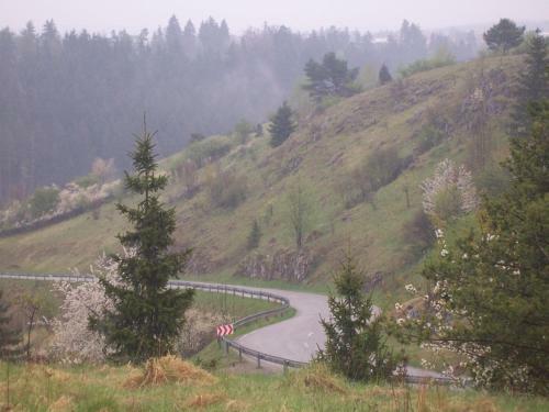 Hostal Ubytov�n� U Macochy