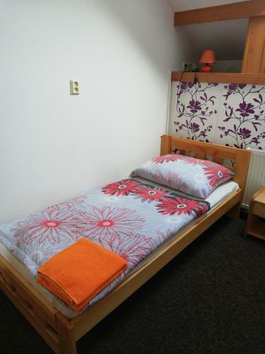 Hostal Penzion Horka