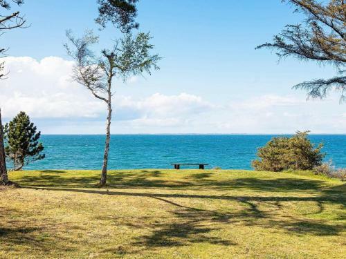 Holiday Home F�revejle X