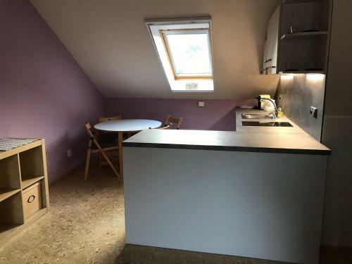 Apartmany U Stareho Labe