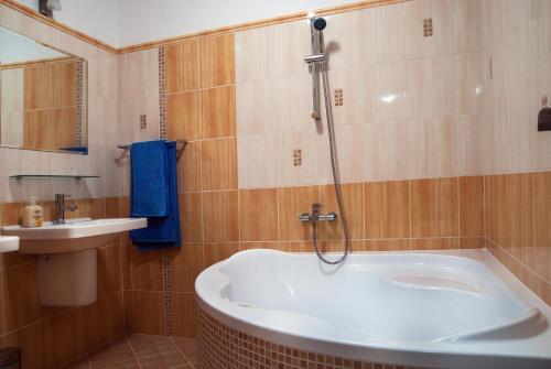 Hostal Penzion U Vinot�ky