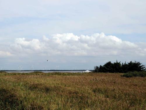 Three-bedroom Holiday Home In Ulfborg 21