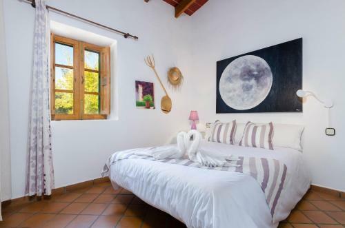 Yourhouse Can Seti